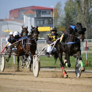 Hipodromul Ploieşti: iapa Raysa a câştigat Premiul Hambletonian la trap!