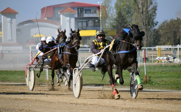 Hipodromul Ploieşti: iapa Raysa a câştigat Premiul Hambletonian la trap!